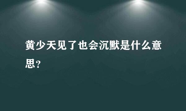 黄少天见了也会沉默是什么意思？