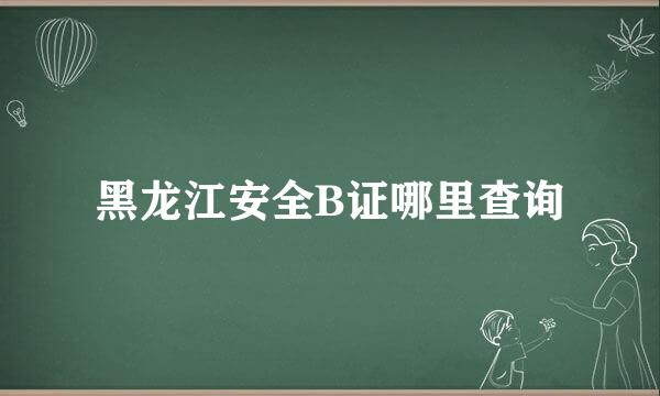 黑龙江安全B证哪里查询