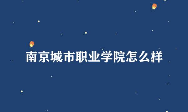 南京城市职业学院怎么样