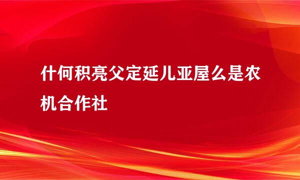 什何积亮父定延儿亚屋么是农机合作社