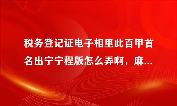 税务登记证电子相里此百甲首名出宁宁程版怎么弄啊，麻烦说具体点