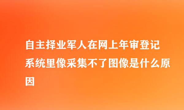 自主择业军人在网上年审登记系统里像采集不了图像是什么原因