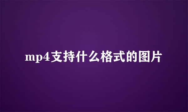 mp4支持什么格式的图片