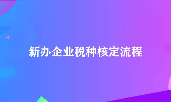 新办企业税种核定流程