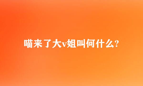 喵来了大v姐叫何什么?