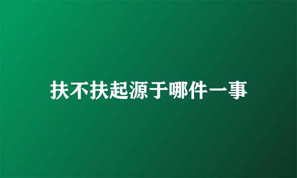 扶不扶起源于哪件一事