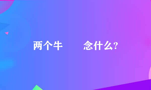 两个牛  念什么?