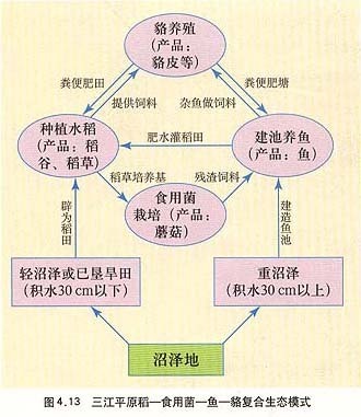 关于三江平原农业生产链的叙述正确的是哪个