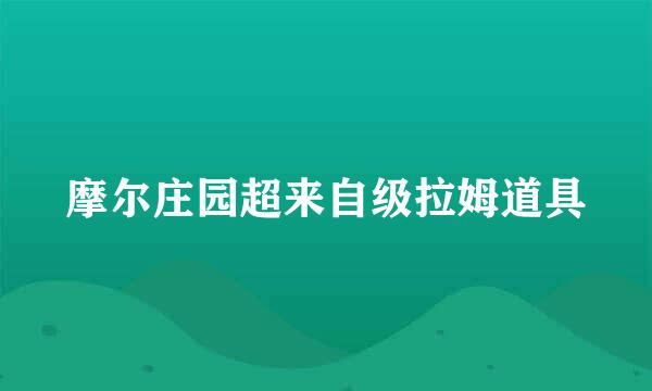 摩尔庄园超来自级拉姆道具