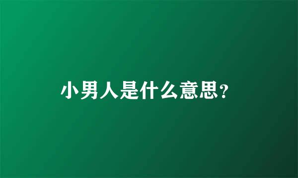 小男人是什么意思？