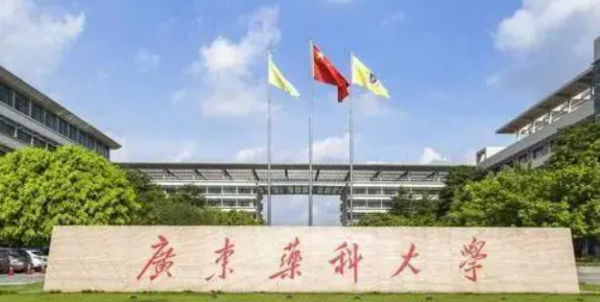 广东省大学排比几益做体升感年无复名