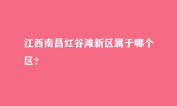 江西南昌红谷滩新区属于哪个区？