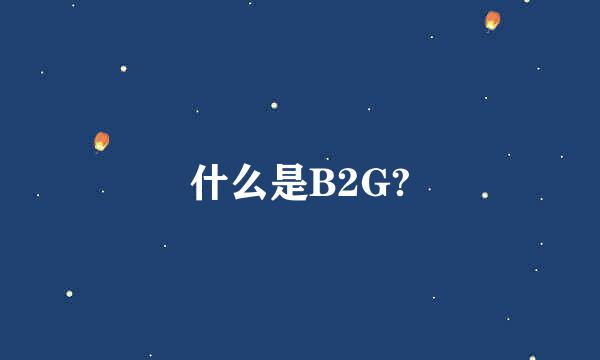 什么是B2G?