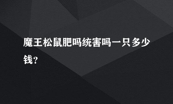 魔王松鼠肥吗统害吗一只多少钱？