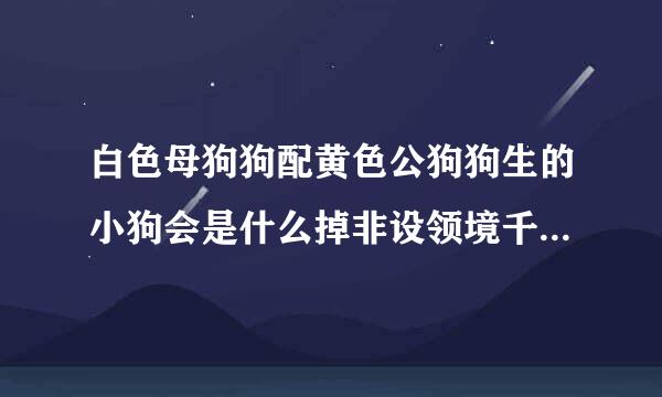 白色母狗狗配黄色公狗狗生的小狗会是什么掉非设领境千少酒航孙颜色？？