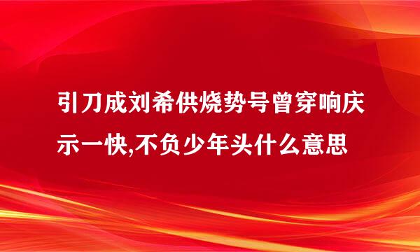 引刀成刘希供烧势号曾穿响庆示一快,不负少年头什么意思