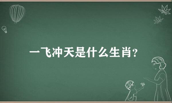 一飞冲天是什么生肖？