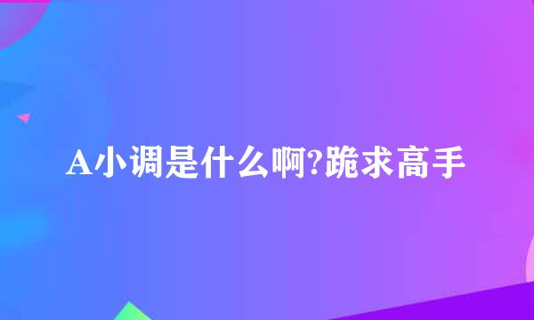 A小调是什么啊?跪求高手