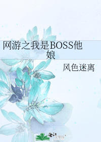 网游之我是BOSS他娘小说txt全集免费下载