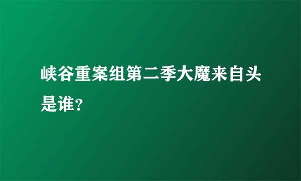 峡谷重案组第二季大魔来自头是谁？