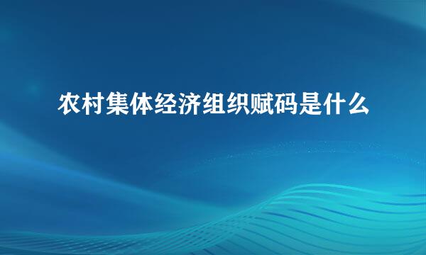 农村集体经济组织赋码是什么