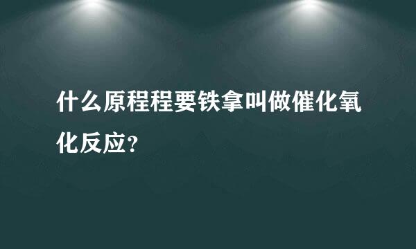 什么原程程要铁拿叫做催化氧化反应？