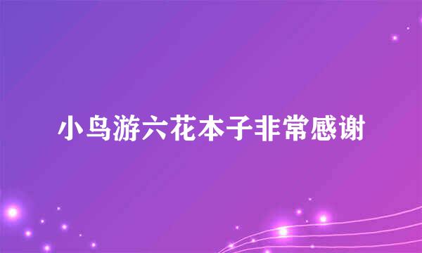 小鸟游六花本子非常感谢