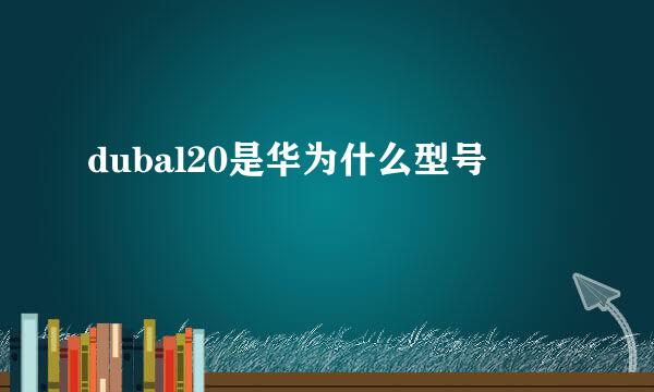 dubal20是华为什么型号