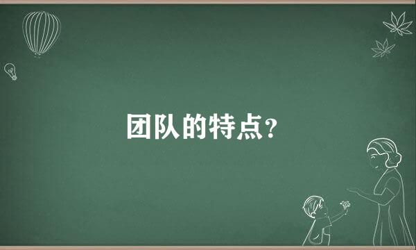 团队的特点？