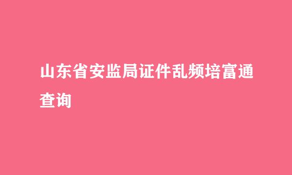 山东省安监局证件乱频培富通查询