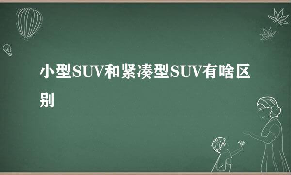 小型SUV和紧凑型SUV有啥区别