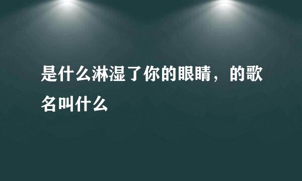 是什么淋湿了你的眼睛，的歌名叫什么