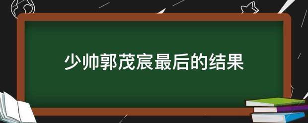 少帅郭茂宸最后的结果