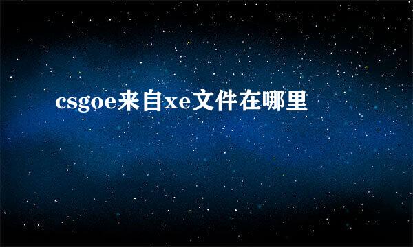 csgoe来自xe文件在哪里