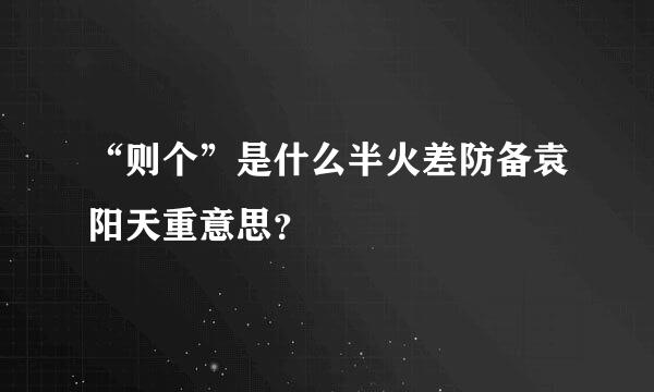 “则个”是什么半火差防备袁阳天重意思？