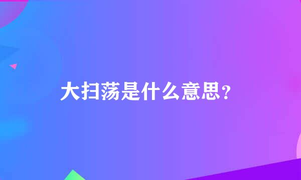 大扫荡是什么意思？