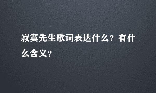 寂寞先生歌词表达什么？有什么含义？