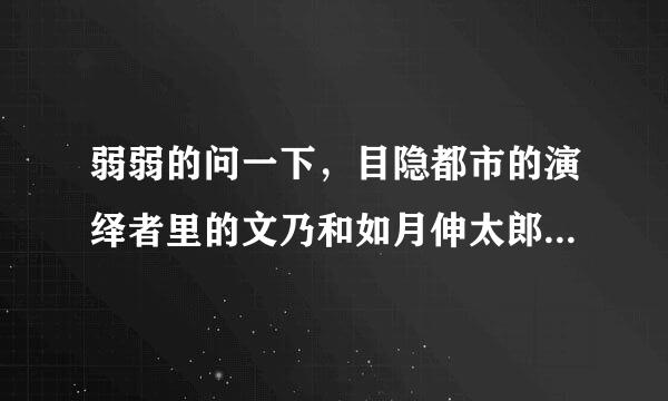 弱弱的问一下，目隐都市的演绎者里的文乃和如月伸太郎是CP吗？