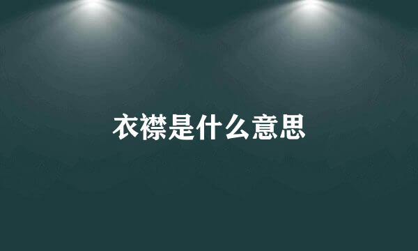 衣襟是什么意思