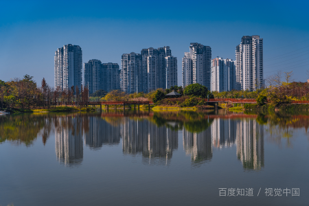 广东第二师范学院代码？