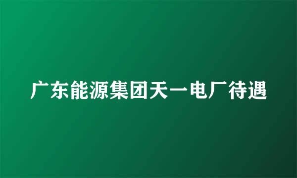 广东能源集团天一电厂待遇