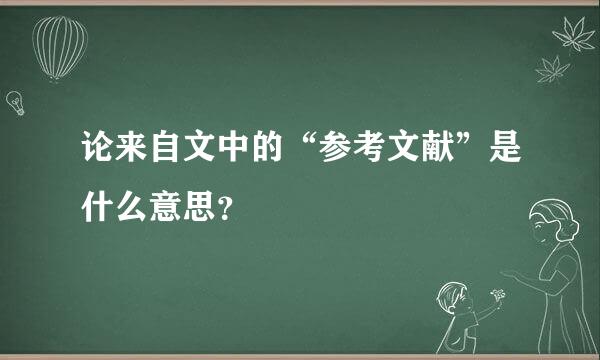 论来自文中的“参考文献”是什么意思？