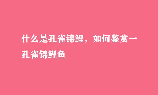 什么是孔雀锦鲤，如何鉴赏一孔雀锦鲤鱼