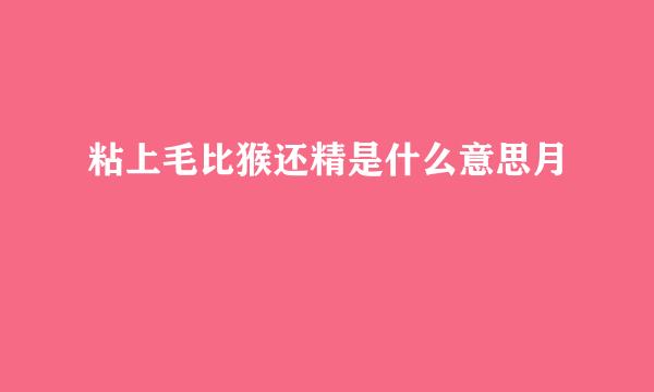 粘上毛比猴还精是什么意思月