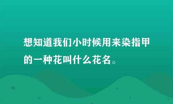 想知道我们小时候用来染指甲的一种花叫什么花名。