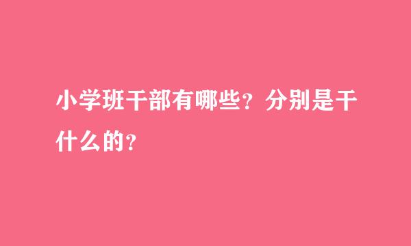 小学班干部有哪些？分别是干什么的？