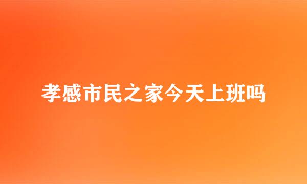 孝感市民之家今天上班吗