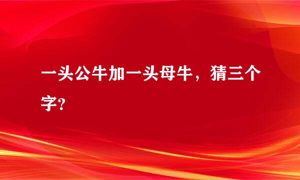 一头公牛加一头母牛，猜三个字？