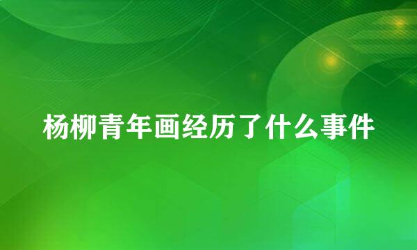 杨柳青年画经历了什么事件