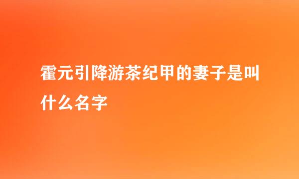 霍元引降游茶纪甲的妻子是叫什么名字